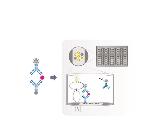 MSD MESO SCALE DIAGNOSTICS assay technology services csm