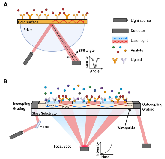 Focal molography vs SPR